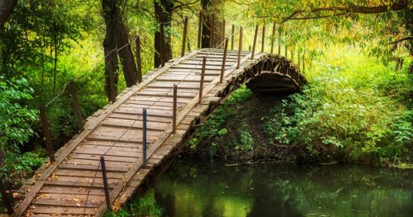 Двама братя живеели сговорно в две съседни ферми близо 40