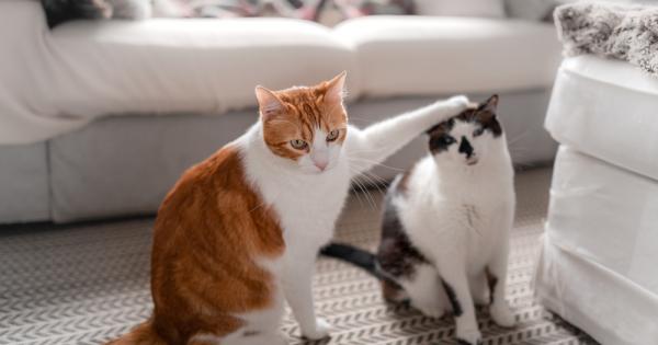 През последните години учени показаха че в действителност котките установяват