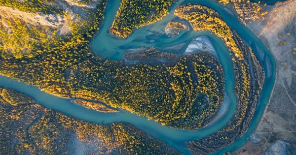 Според проучване публикувано в списание Science човешкото въздействие върху климата