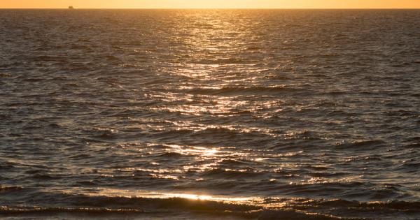 До 95 от океанската повърхност на Земята ще се промени