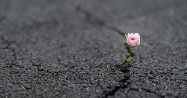 Белегът означава че болката е отминала и раната се е