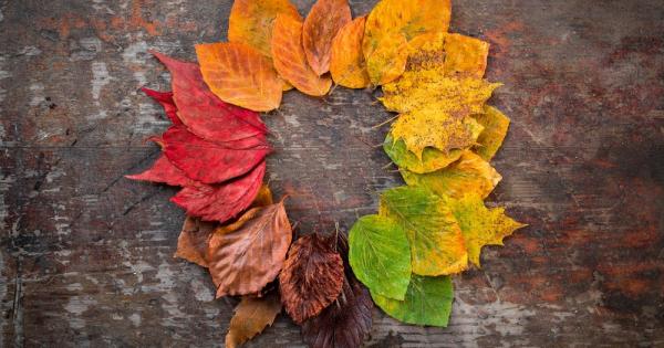 Отдавна много отдавна в един процъфтяващ град живял един търговец