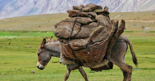 Солта станала толкова скъпа че Настрадин Ходжа се заел с
