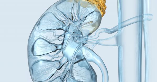 Какво е кортизол Кортизолът представлява стероиден хормон който се отделя от
