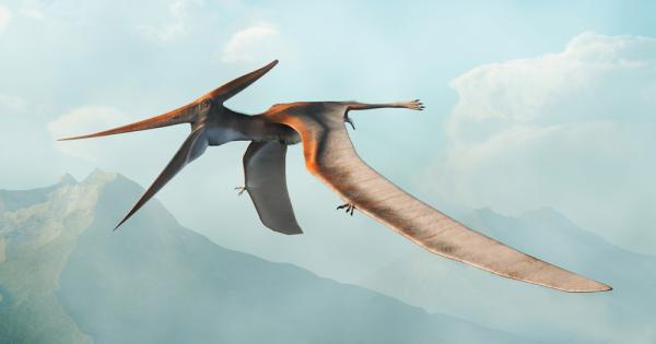 Кости отпреди около 100 милиона години открити в североизточната част