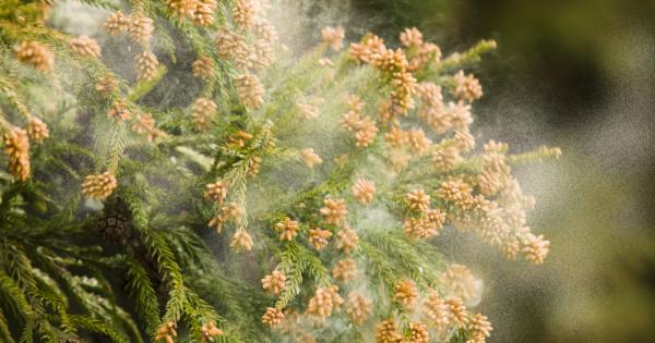 Американски учени установиха в кои часове от денонощието концентрацията на