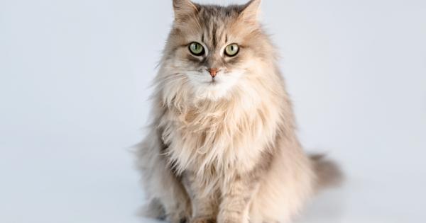 Обичам те Горе долу Понякога Или поне така ми се струва