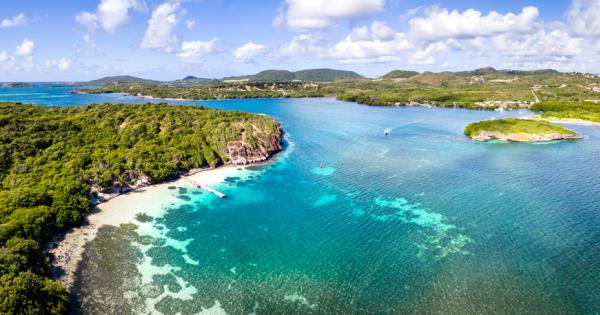 Уязвими видове морски бозайници многобройни видове охлюви и вид карибски