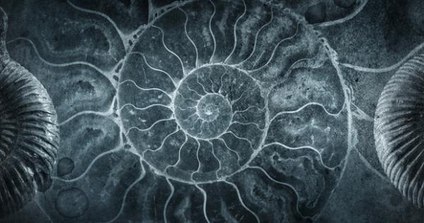 Кой не е мечтал като дете да тръгне по следите