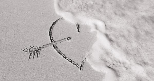 Любовта може да те издигне до небето и да те