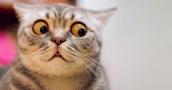 Блаженство спокойствие и палачинки с любимия Невинаги Защото редица ситуации