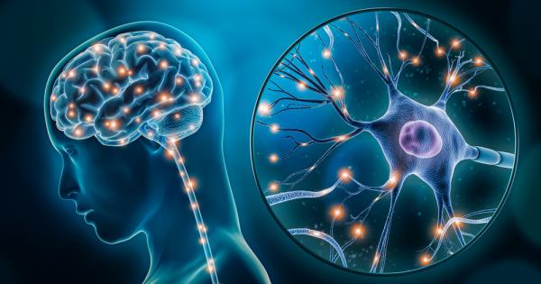 Миналото лято опустошителни горски пожари бушуваха в мразовитите райони на