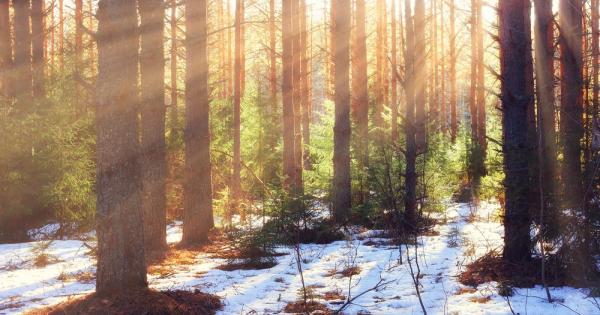 Тази година януари е с най големи положителни аномалии в северната