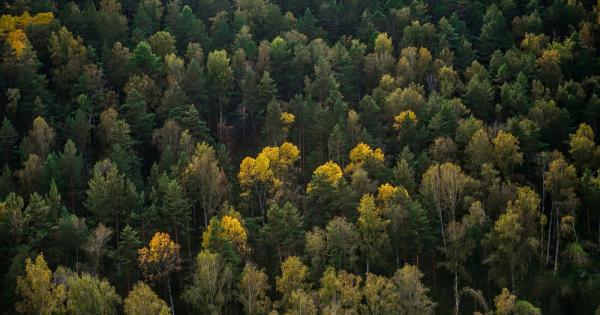 Британски учени са конструирали сателит способен да изследва горите на
