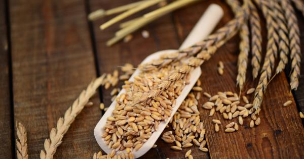 Докато всеки познава овесените ядки то люспите от спелта са