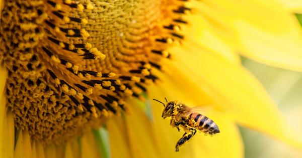 Учени от Вашингтонския университет показаха с климатични модели и модели