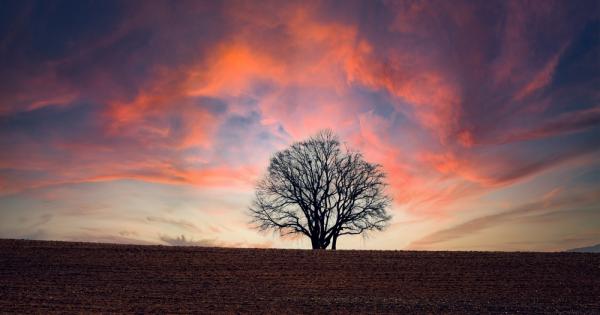 Климатът на Земята винаги се е променял поради многообразни фактори