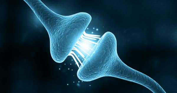 Периодичното гладуване променя активността на стомашно чревната флора при мишки и