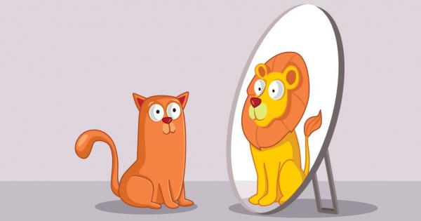 12 Риби
Вие сте прекалено внимателни съвестни безкористни и всеотдайни за