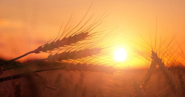 Растителните организми са фенологични индикатори на времето и климата и