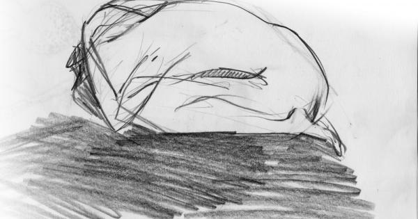 Здравето не е само физическа категория Здравето е преди всичко