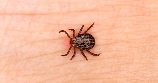 Когато става дума за оцеляване без храна и дълголетие малцина