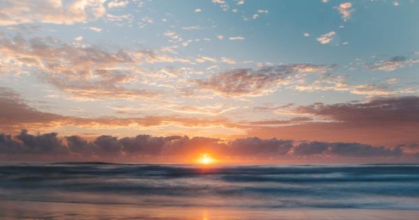 В бездните на Тихия океан където цари пълен мрак учени