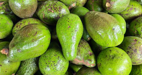 Авокадото е плод който може да предпази от различни инфекции