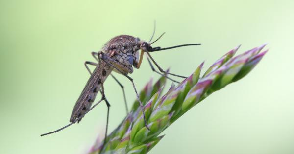 През 1927 г нобеловата награда за психология или медицина е