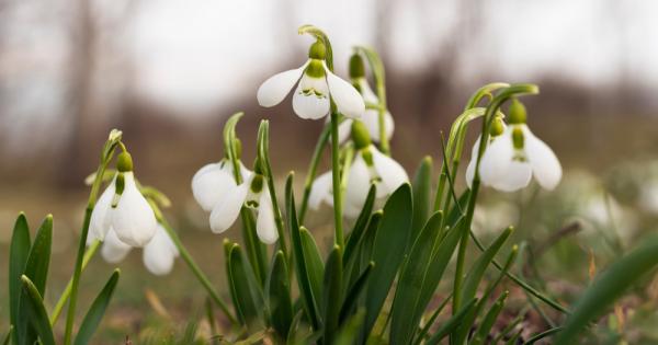 Март 2022 г беше по топъл от обичайното с големи положителни