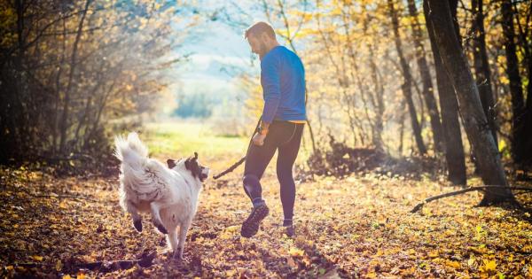 От доста време се твърди че 10 000 крачки на