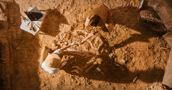 Близо 200 отпечатъка от стъпки на динозаври датиращи отпреди 166