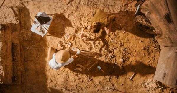 Чилийски учени откриха останки от слон на 12 хиляди години