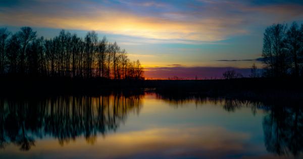 Бързото повишаване на температурите застрашава езерата и богатото им биологично