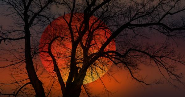 2022 г бе изпълнена с небесни зрелища – през юни