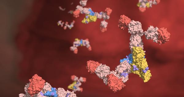 Дефицитът на имуноглобулин А IgA е най разпространеният първичен имунен дефицит