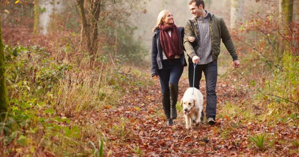 Кучетата наистина приличат на своите стопани поне що се отнася