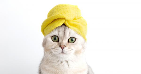 Последният писък на модата в Америка е т нар Non Bathing