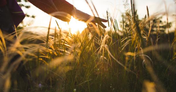 Научи се да не чакаш телефонно обаждане съобщение поглед усмивка