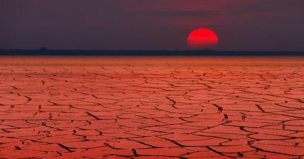 През следващите 5 години съществува 50 шанс глобалните температури да