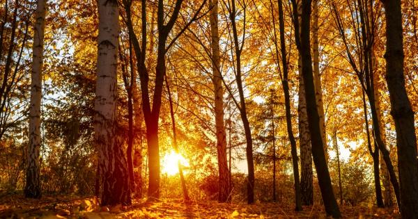 Данните показват че ноември 2023 г е поредният най топъл месец