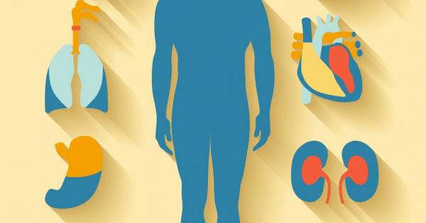 Човешкият организъм е най сложната машина Едновременно в него протичат невъобразимо