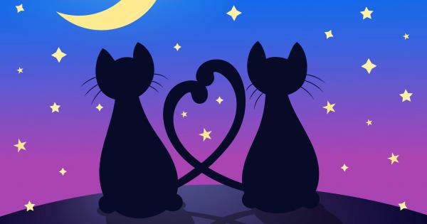 Проблемът е че търсим някого за да остареем заедно А