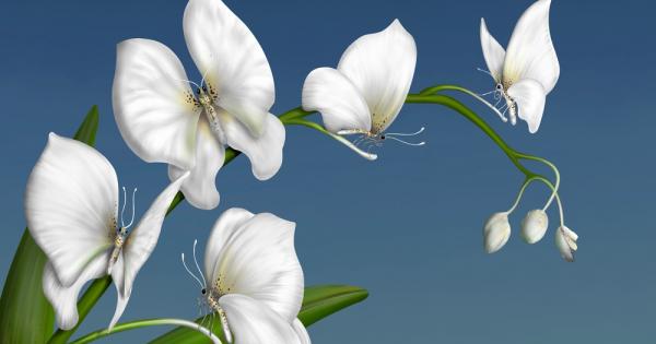 Тестовете които са базирани на подвеждащи оптични илюзии са изключително