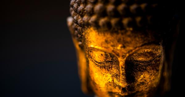 1 Ако не бях жесток не бих оцелял Ако не