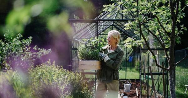 Градинската работа оказва благотворно влияние на възрастните хора тя