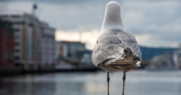 Те ни наблюдават от десетилетия Дебнат всяко едно наше движение