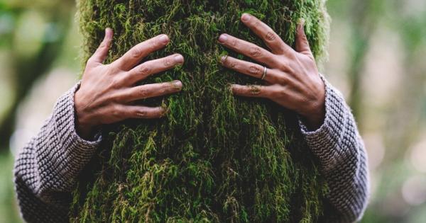 Толкова много говорим за климата но как действаме в ежедневието