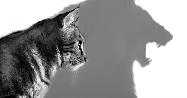 Често причината за собственото ни нещастие се крие у самите