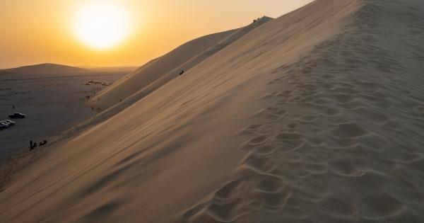 Пустинните пейзажи не са толкова безжизнени колкото изглеждат Обширните морета